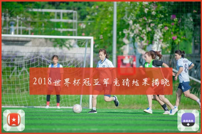 2018世界杯冠亚军竞猜结果揭晓